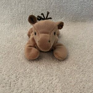 Beanie baby Derby